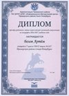 2016-2017 Белов Артем 7л (РО-география)